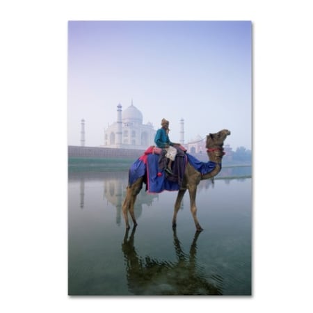 Robert Harding Picture Library 'Camels 3' Canvas Art,22x32